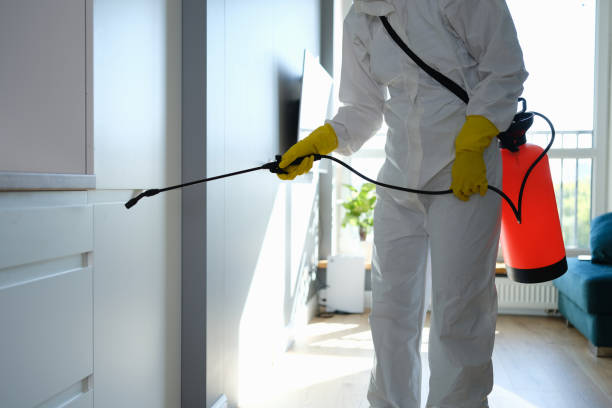 Insurance-Related Mold Remediation